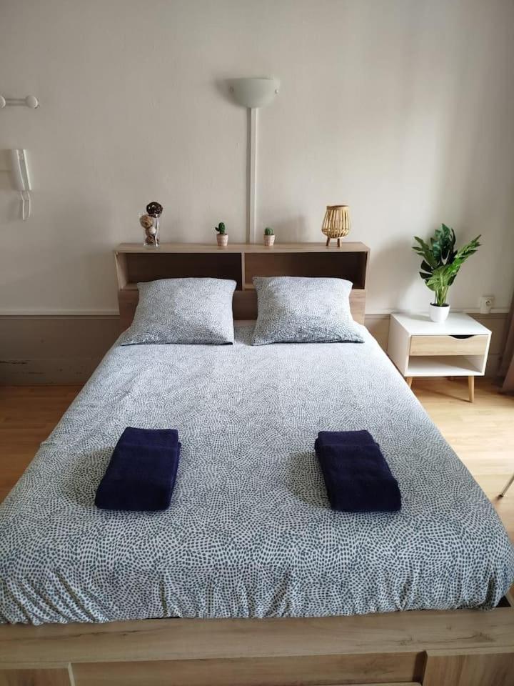 Le Carnot 2 Apartment Besancon Bagian luar foto